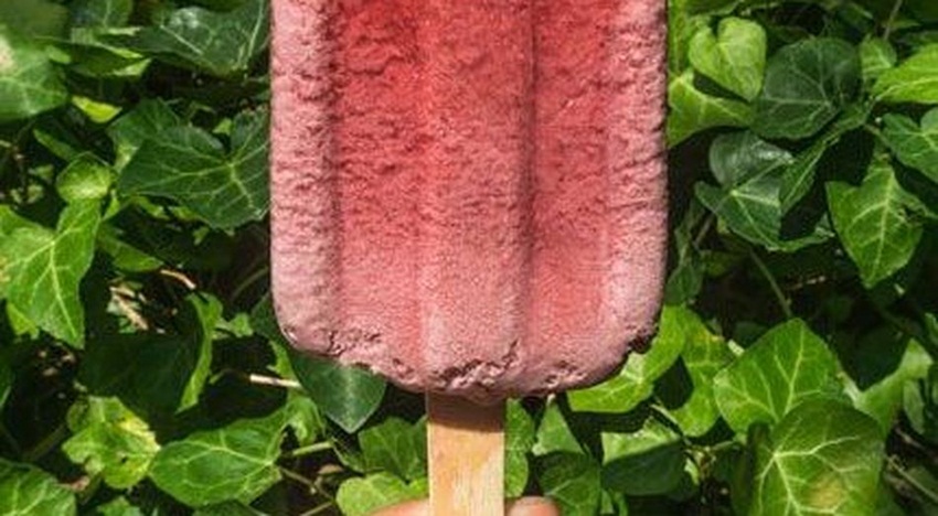 Say hello to the meat popsicle