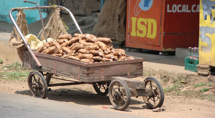 on the way from periyar, sweet potatoes