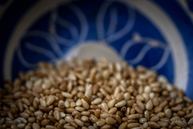 Sesame seeds Mark Seton, Flickr