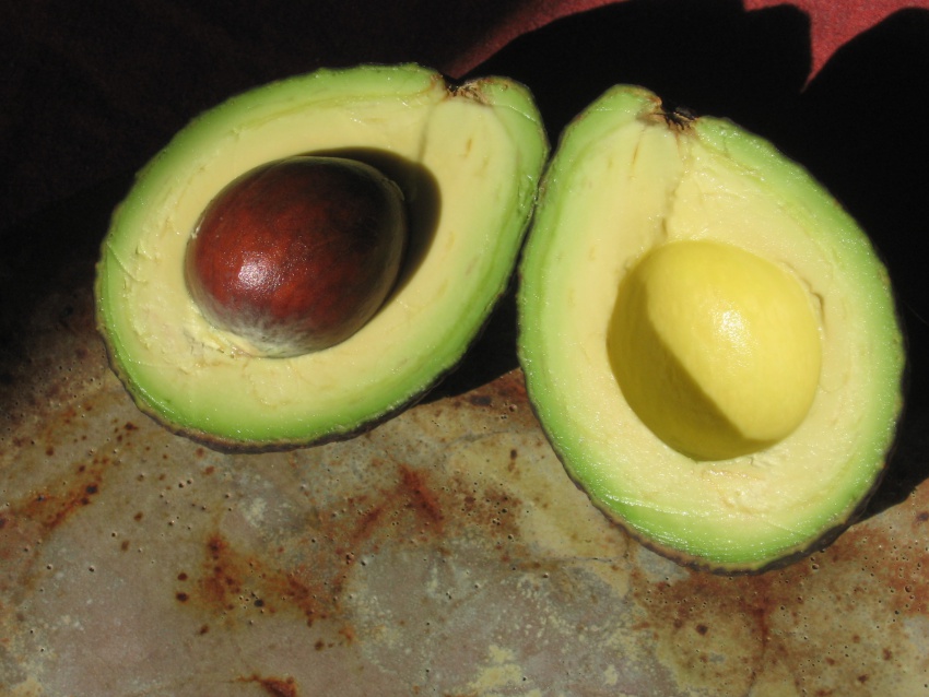 avocado by Scott Stull flickr