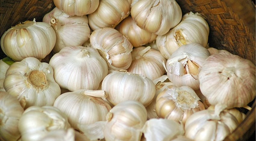 Here’s why you should be eating more garlic