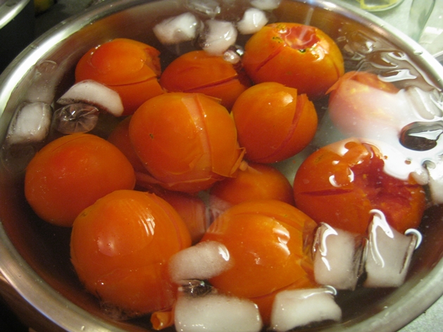 Blanching tomatoes_Karin Dalziel