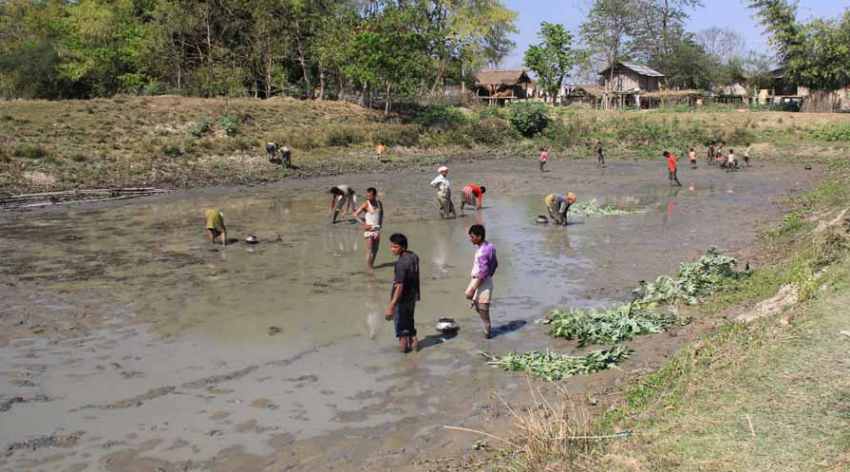 assam-cuisine-04