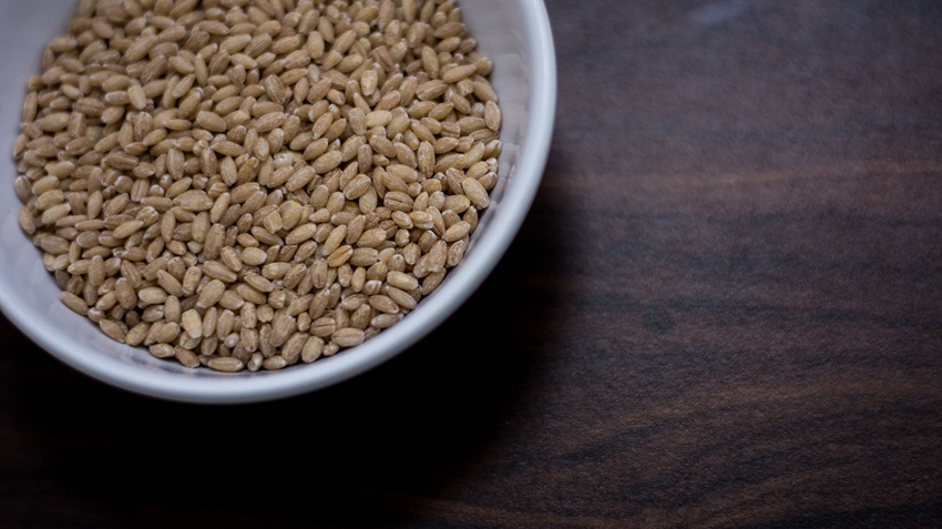 barley - food dictionary - flickr