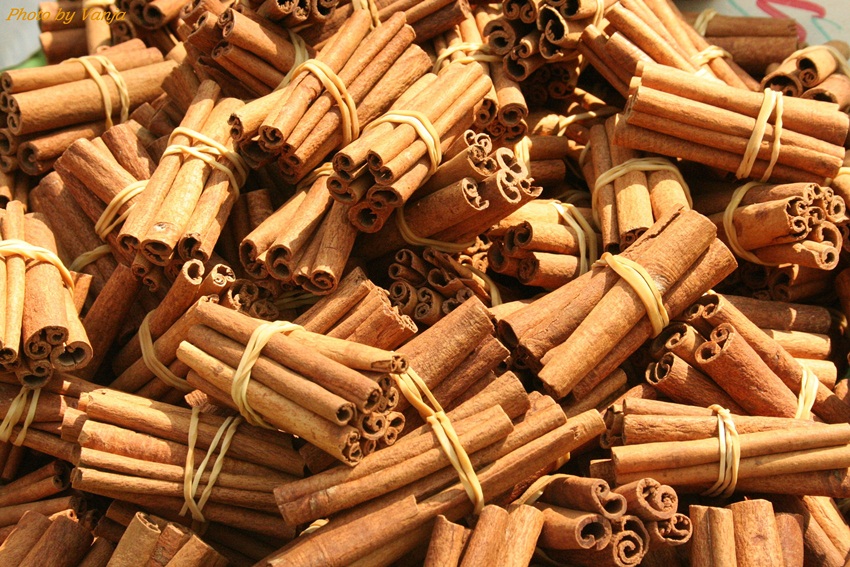 cinnamon - vanjasphotos