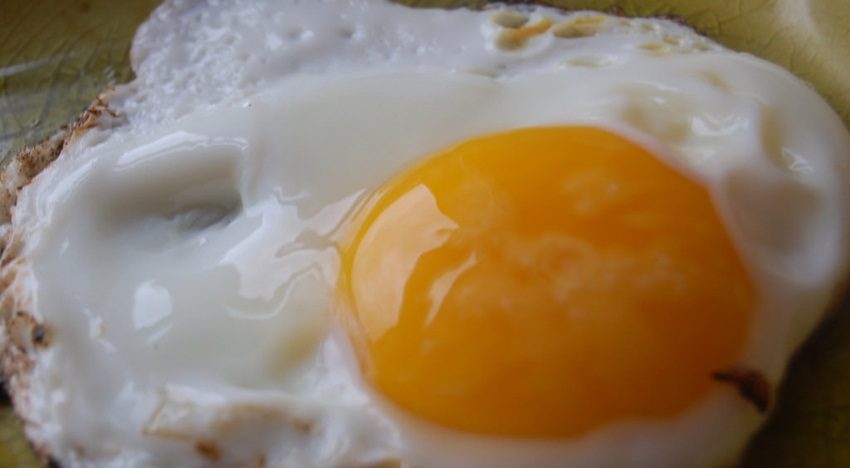 Here are a few reasons why egg yolk is actually good for you