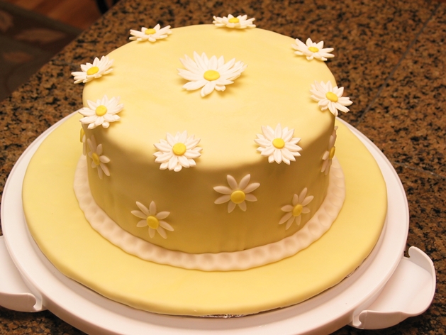 fondant cake_daveob