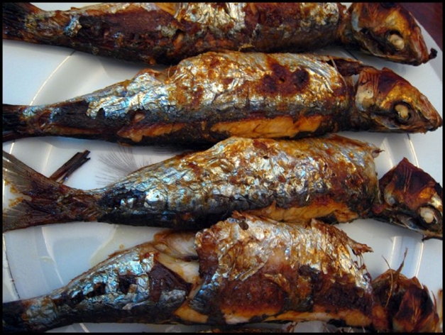 grilled sardine - umami, Flickr