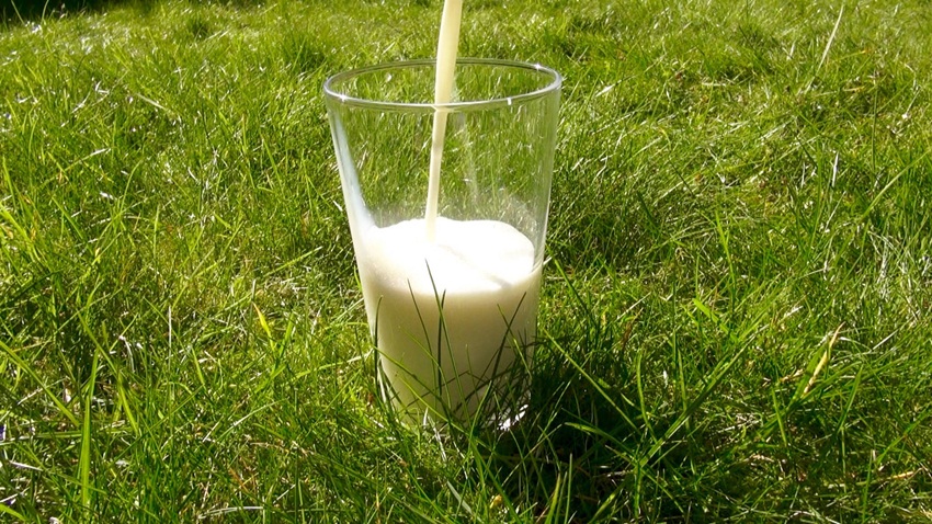 milk by Health Gauge flickr