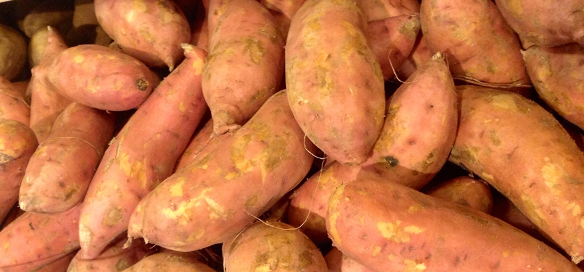 sweet potato - mike mozart, flickr