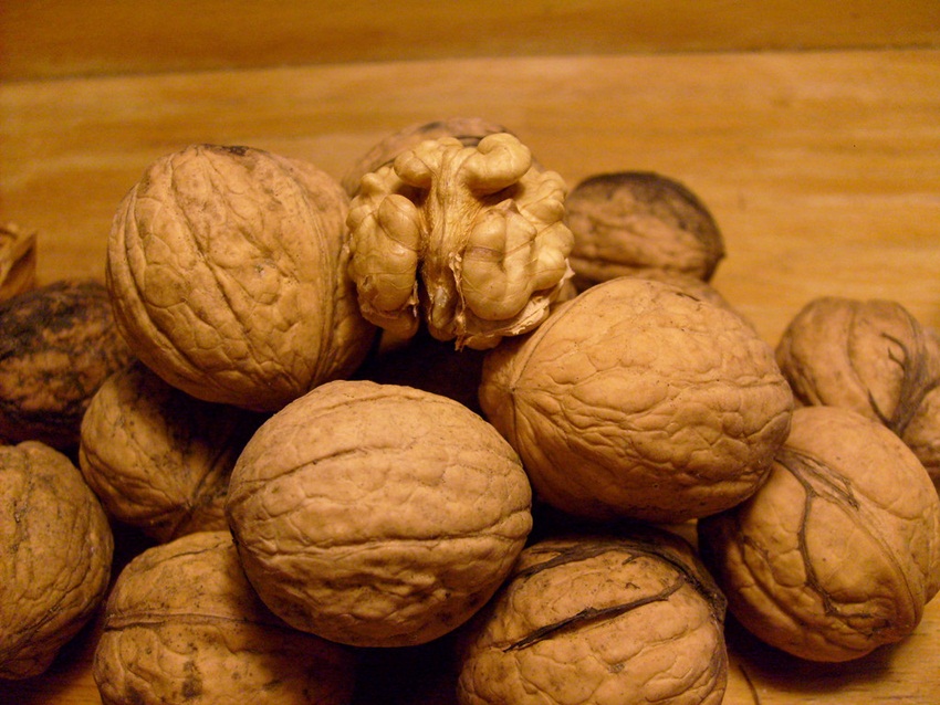 walnuts by inyucho - flickr