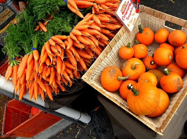 Pumpkin and carrot_Todd Mecklem