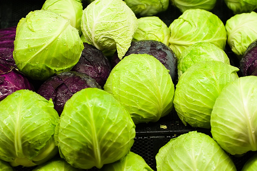 cabbage for arthritis - brian auer