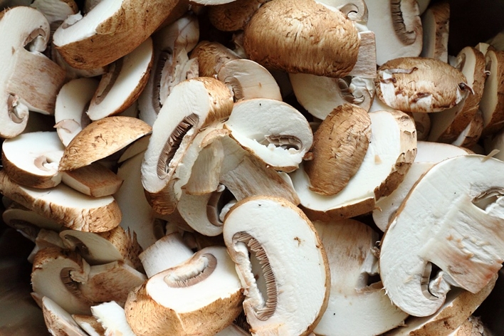 mushroom-674507_960_720