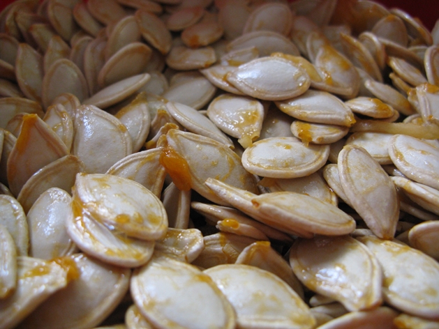 pumpkin seeds- annstheclaf