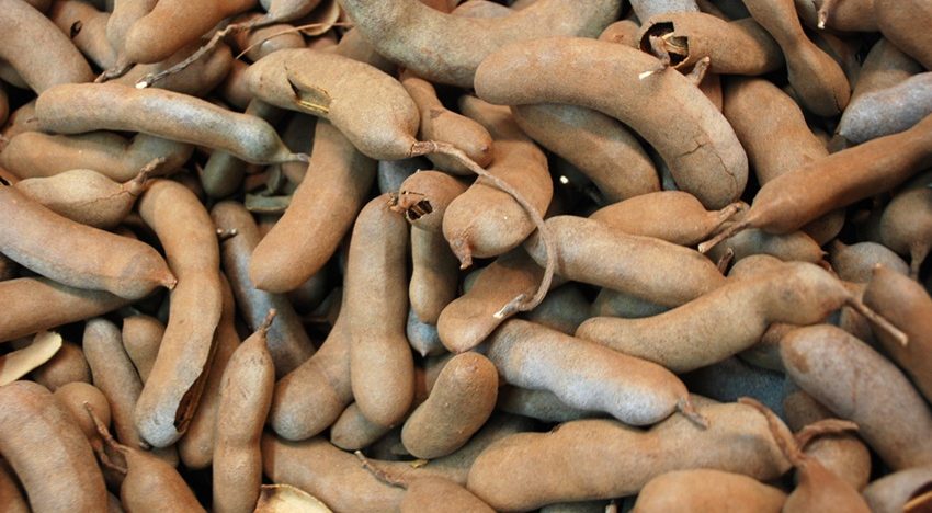 Why tamarind is good for you