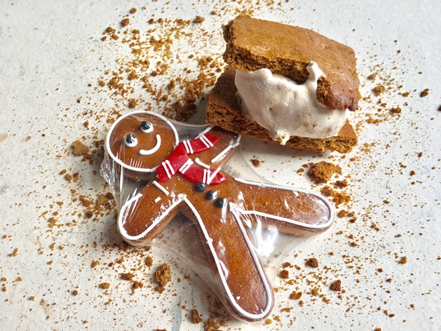 Gingerbread ice cream 2 - Sucres de Terres